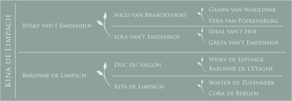 Kina de Limpach